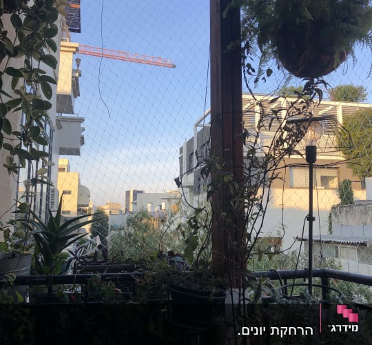 רשת למניעת כניסת יונים במרפסת עם עציצים